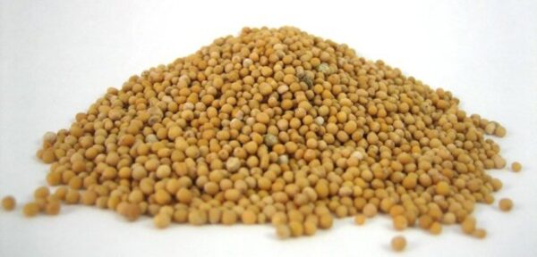 Mustard Seed Whole, 5/5lb Bags